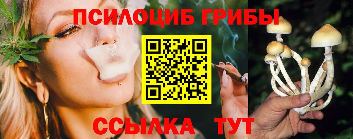 Ковров  Галлюциногенные грибы ЛСД  Вход с VPN  Галлюциногенные грибы MAGIC MUSHROOMS 