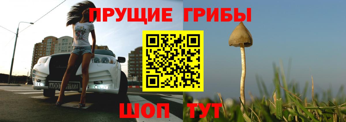 Псилоцибиновые грибы мицелий Ковров